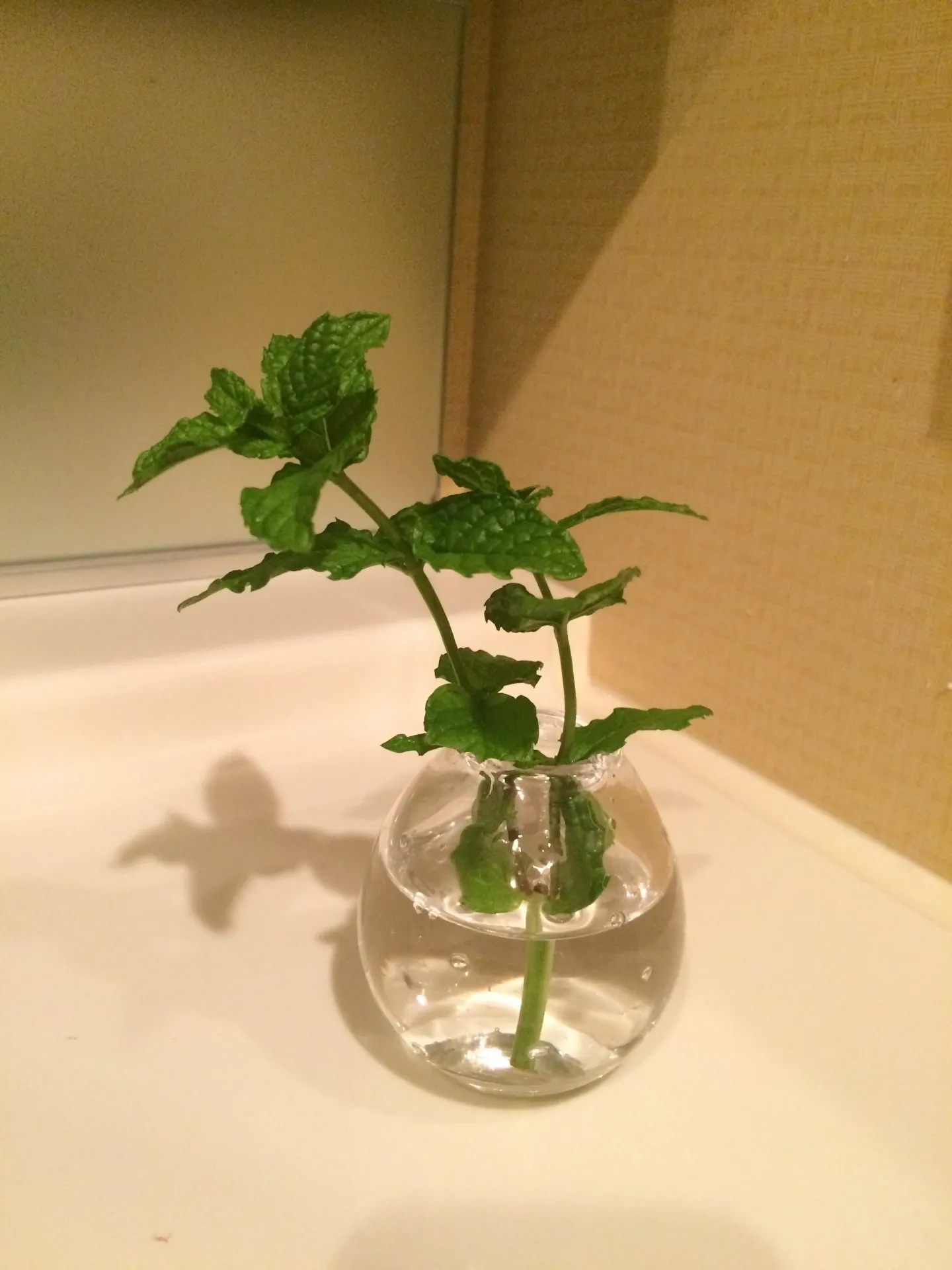 断捨離アフター　一覧